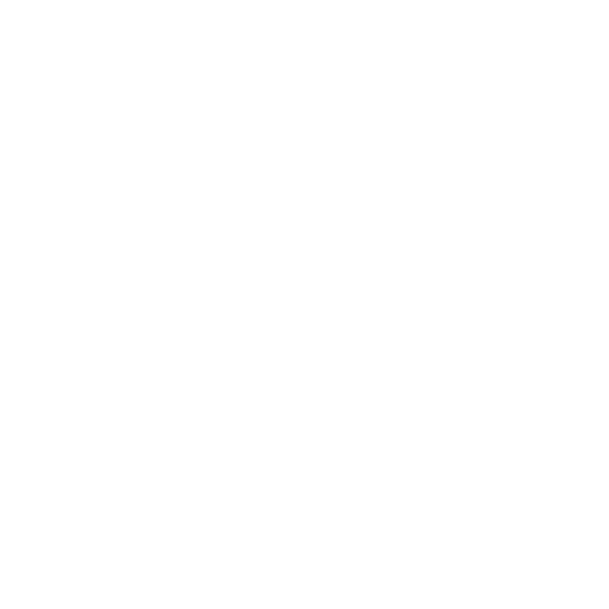 Geriatric