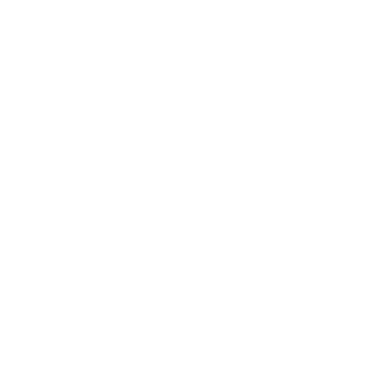 Video / Telehealth